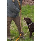 Nakatanenga dog lead shock absorber with carabiner and breast strap