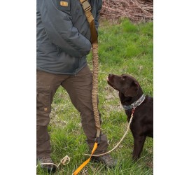 Nakatanenga dog lead shock absorber with carabiner and breast strap