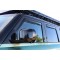 Wind deflector ClimAir 